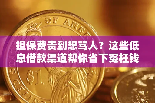 济南担保费贵到想骂人？这些低息借款渠道帮你省下冤枉钱