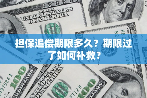 济南担保追偿期限多久？期限过了如何补救？