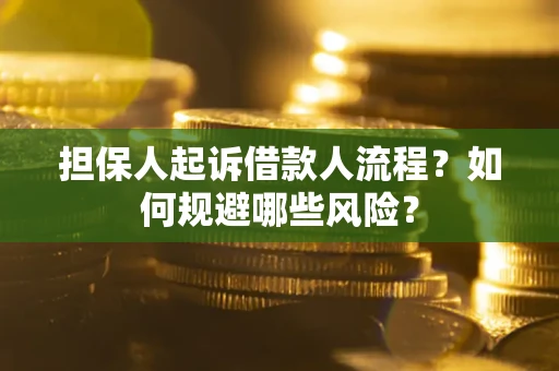 济南担保人起诉借款人流程？如何规避哪些风险？