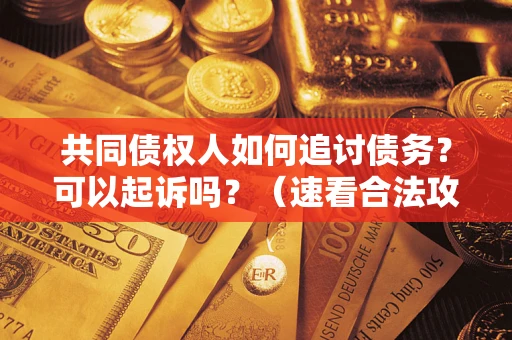 济南共同债权人如何追讨债务？可以起诉吗？（速看合法攻略）